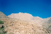 Mount Umm Shomar Predator Trap  - PID:60847