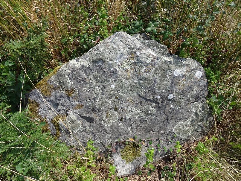 Close up of one of the stones, July 6, 2013