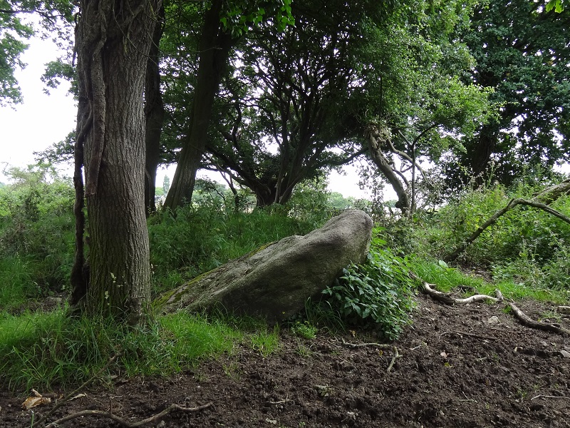 This menhir may be an inclined capstone of a dolmen, July 2, 2013
