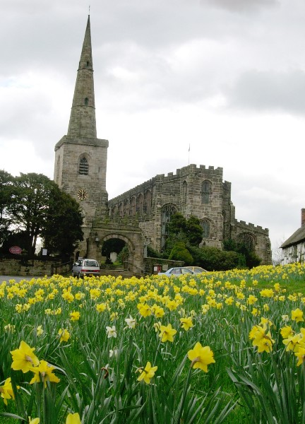 The breathtaking display of daffodils outside St Marys (Astbury), near Congleton in Cheshire, just off the A34. A hollow yew tree, saxon cross fragment, and green man are to be found there.