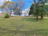 Pinson Mounds - Other Sites - PID:272186