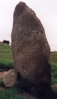 Bod Deiniol SH368857 
Visited Tuesday 15th June 1999
Access: We parked at nearby Llyn Alaw reservoir visitors' centre car park (some of the lanes to here are very narrow and bendy!). The stone I estimated about 10 to 11 feet tall, about 6 feet at its widest; covered in lichen. One side very smooth, and one side very rough.